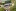 renewableenergy Kaiwaikawefoundationpour